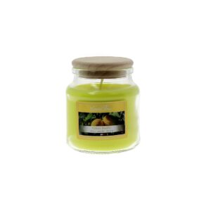 citrón a bazalka , francouzská sójová svíčka 145 g .